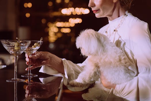 Explore Hotels That Set the Bar Too High