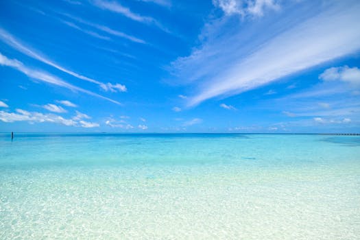 From Butlers to Private Beaches—It’s All Here